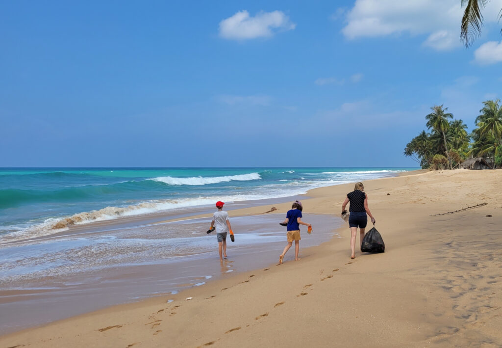 | Schutz für Meeresschildkröten