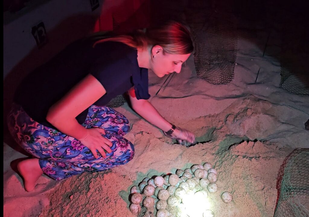 Eier vergraben | Schutz für Meeresschildkröten